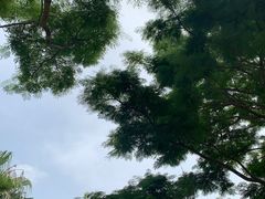 -胡里山炮台