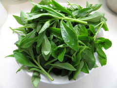 -融聚·粤小馆(水上公园店)