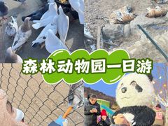 -大连森林动物园