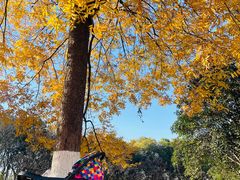 -南京市江宁方山
