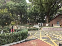 -马王堆汉墓遗址