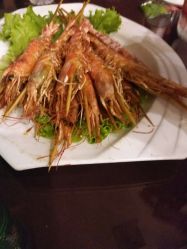 -鑫淼餐饮娱乐中心(江东街店)