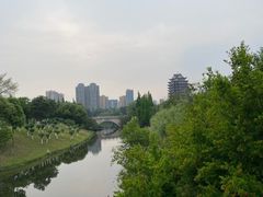 -眉山湿地公园(东坡区)