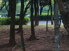 -大亚湾红树林城市湿地公园