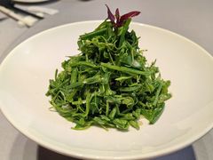 凉拌南瓜尖-润泽天·湘味家宴(岳麓山店)
