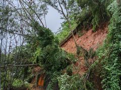 -梧桐山风景名胜区