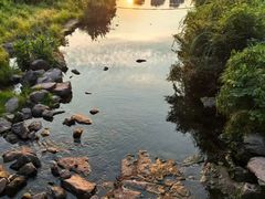 -重庆彩云湖湿地公园