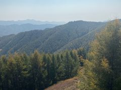 -苏木山森林公园