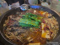 -都江堰石锅鱼