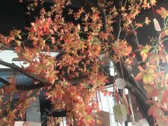 -咖啡人·融合餐厅(健康东路店)