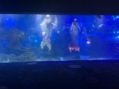 -江和美海洋公园