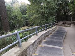 -西安市纺织公园