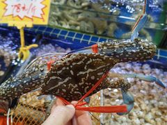 -大东海海鲜酒楼(渔人码头总店)