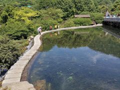 -贵阳市花溪国家城市湿地公园