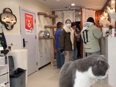 -共舞时光猫咖·狗咖(新街口店)