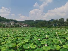 -红山村