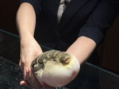 -大潮淮·淮扬菜(何园旗舰店)