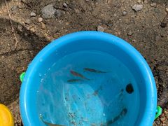 -碓臼峪自然风景区