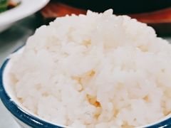 米饭-听涛雅苑百味饺子老家菜馆