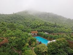 -看见远方·莫干遥远的山民宿