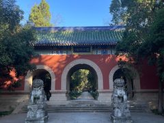 -灵谷景区