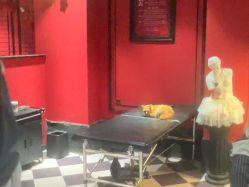 -海王刺青·纹身·穿孔饰品·TATTOO