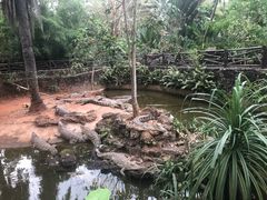 -海南热带野生动植物园