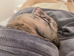 -Cream88颜皮肤管理中心