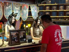 -第35届青岛国际啤酒节