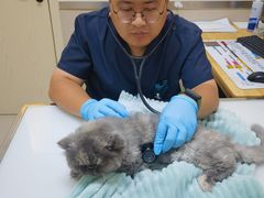 -爱妮康宠物医院·干细胞免疫细胞·肿瘤·心脏(张江店)