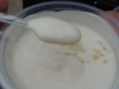 榛果酸奶-狐狸家·酸奶酪专门店(平江路店)