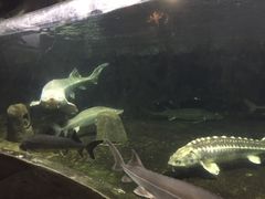 -左海海底世界