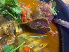 甲鱼肉-洪湘记川湘·甲鱼馆(四海凯悦美食广场店)