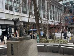 -涩谷全向十字路口