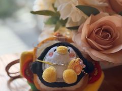 -和牛食堂•BISTRO(广州首店)