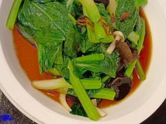 -新白鹿餐厅(百联中环店)