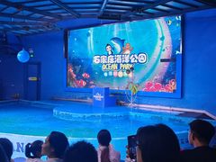 -石家庄海洋公园