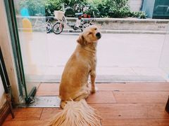 -元氏钵仔糕(北京路店)