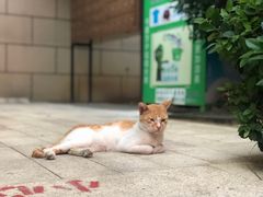 -fishtank鱼缸咖啡(三山街店)