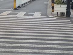 -陶记正宗德州扒鸡(科巷店)