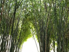 -贵阳市花溪国家城市湿地公园