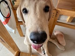 -海里捞海鲜·全海景观餐厅(双月湾沙滩店)