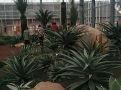 -南通洲际绿博园