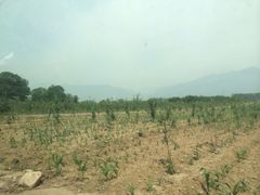 iphone_upload_pic-卧牛山度假村