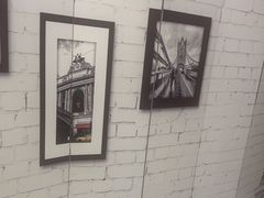 -泰康拜博口腔(世博园乐尔店)