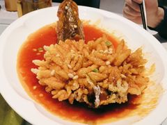 -眉州东坡(望京店)