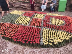 -南通洲际绿博园