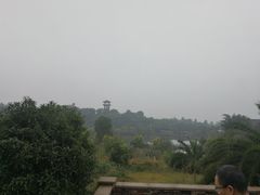 -张坝桂圆林公园