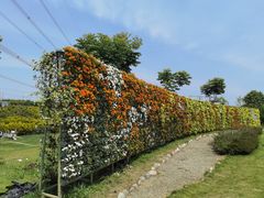 -紫颐香薰山谷景区