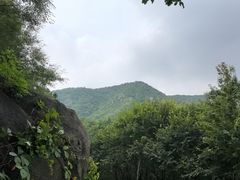 -北京鹫峰国家森林公园